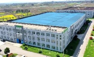 图片4